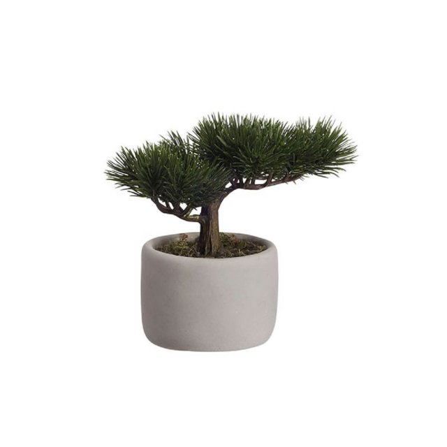 Συνθετικό Φυτό σε Κεραμική Γλάστρα Asa Bonsai mini Pine