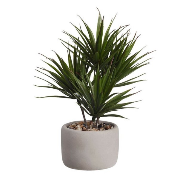 Συνθετικό Φυτό σε Κεραμική Γλάστρα Asa Bonsai Palm